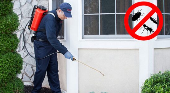 Akkuş Böcek ve Haşere İlaçlama böcek ilaçlama ve haşere kontrolü — ilaclama-tr.com